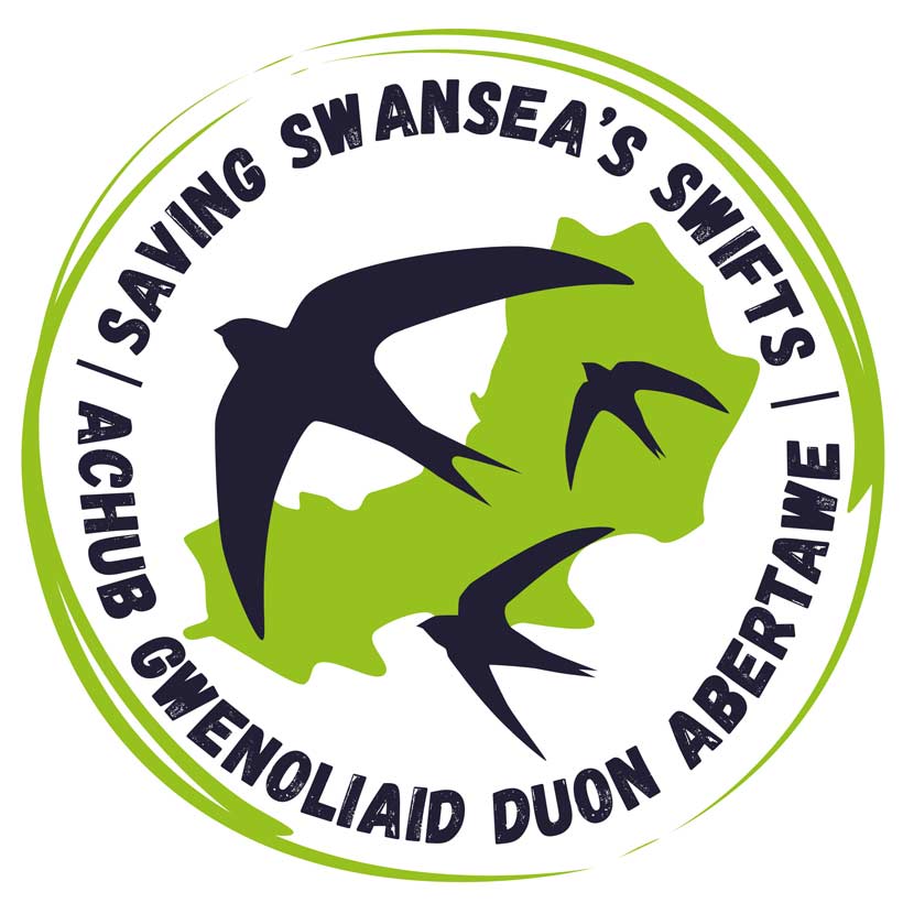 SS-Swifts-Logo