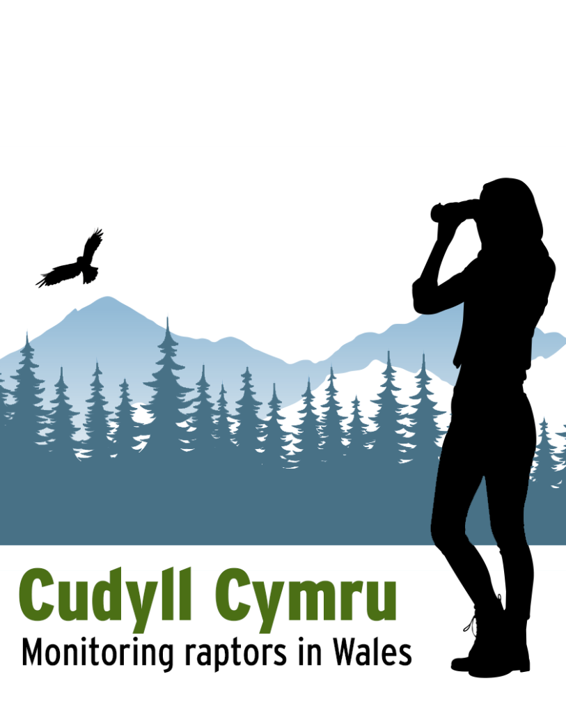 Cudyll Cymru / Raptor Signs and Feather Identification – Gower ...